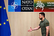 Политэксперт Джаралла: стратегическая цель Зеленского — втянуть НАТО в конфликт