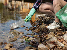 Как за семь дней очистят планету