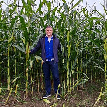 Опыт, наука и партнерство синтезировали калужский кукурузный рекорд