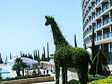 Турпоток в Крым может вырасти на 50%