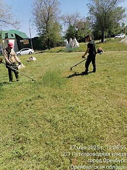 В Оренбурге скошено почти 2 млн квадратных метров сорняков