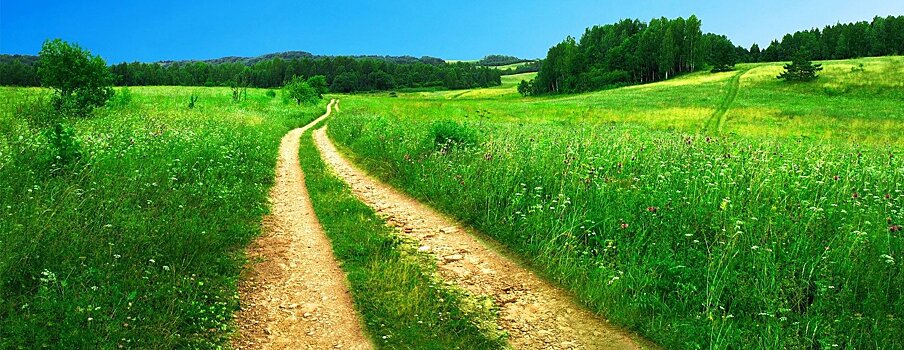 Сельские дороги России приведут в порядок