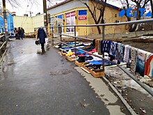 Нижегородцам рассказали, что построят на Гребном канале в ближайшие годы