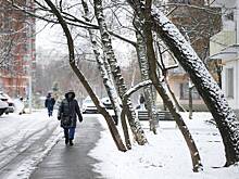 Москвичам назвали срок нового снегопада