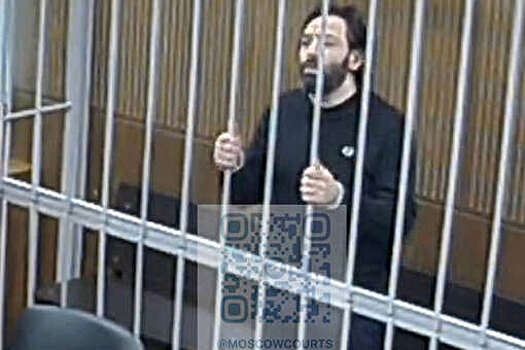 Суд арестовал главу "Аеза Групп" Бозояна после обысков в бывшем "Вагнер-центре"