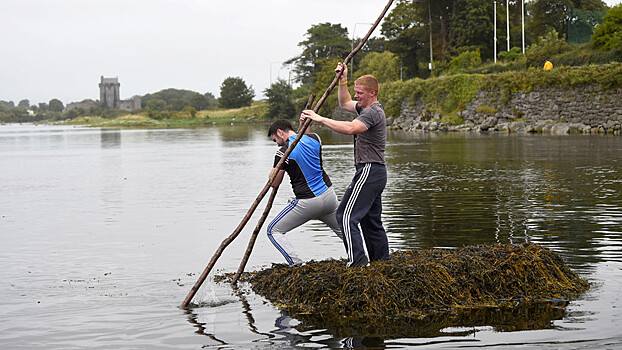 Гонка на водорослях: в Ирландии устроили заплыв на плотах из морских растений