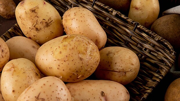 Выявлен способ приготовления картошки, который делает блюдо токсичным