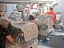 Названа возможная причина массовой смерти новорожденных в Новокузнецке