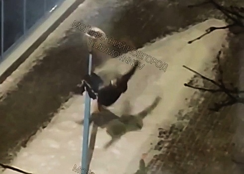 Покоритель автозаводского столба оказался в больнице