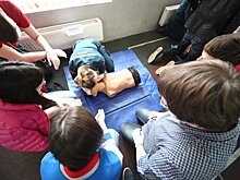 В ГД предложили обучить депутатов оказанию первой помощи