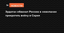 Эрдоган обвинил Россию в нежелании прекратить войну в Сирии