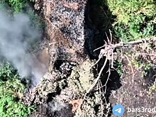 БПЛА «Барс-3» под командованием мэра Оренбурга Салмина нанесли удар по позициям ВСУ