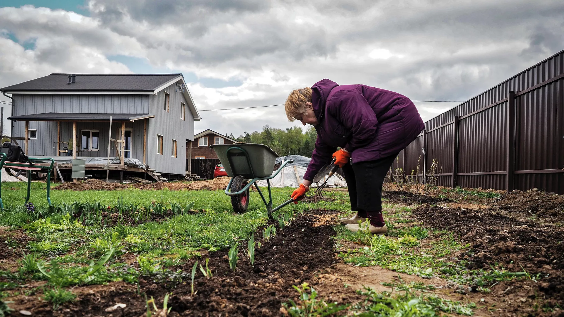 В Роскачестве посоветовали покупать семена в профильных магазинах