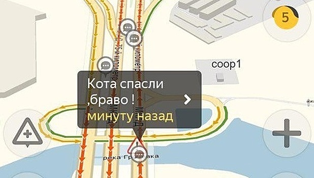 Московские автомобилисты спасли напуганного кота (рыжего!)