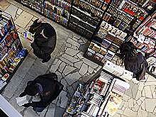 Издатели попросились из "Лабиринта"