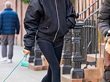 Ирину Шейк засняли на прогулке с дочерью и собакой