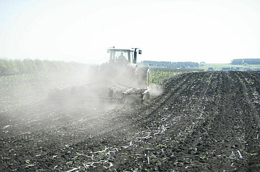 Комитет Совфеда одобрил инициативу о передаче земли в залог сельхозпроизводителями