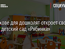 В Волхове для дошколят откроет свои двери детский сад «Рябинка»