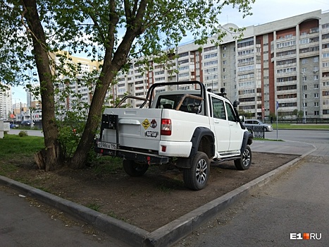 «Я паркуюсь как...»: мишень для эвакуатора и удивительное равнодушие к газонам