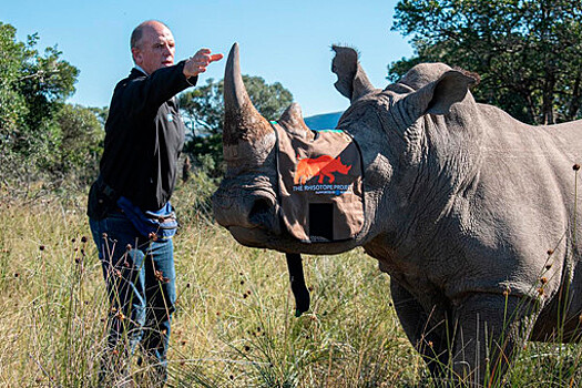 Росатом стал ключевым партнером международной инициативы по спасению носорогов