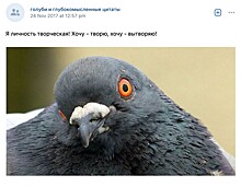«Трудно найти, легко потерять»‎: почему в соцсети ВКонтакте больше нет глупых статусов