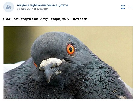 «Трудно найти, легко потерять»‎: почему в соцсети ВКонтакте больше нет глупых статусов