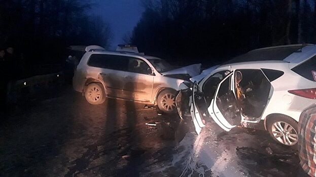 Суд арестовал нижегородца за ДТП с гибелью 4-летнего ребёнка