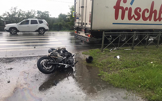 В Путятинском районе мотоциклист погиб после столкновения с грузовиком