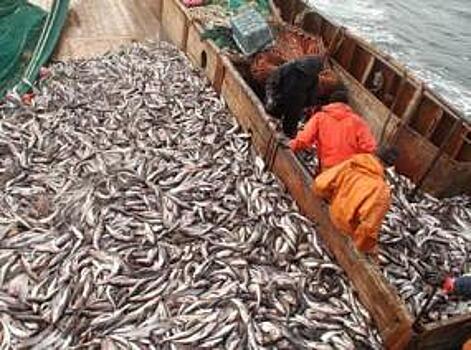 Японская компания намерена установить во Владивостоке современное оборудование для хранения рыбы