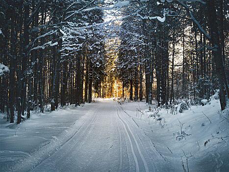 Лыжные трассы откроются зимой на Лобненской и Ангарской улицах и на Карельском бульваре