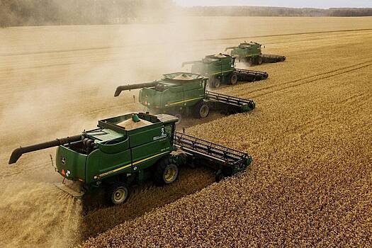 Ростовская область заняла первое место по площади застрахованных посевов