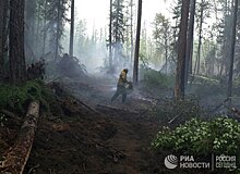 Россия: сокращение иркутских лесов создает риски для природы и населения (Eurasianet, США)