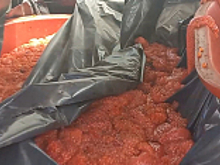 Погоня за браконьером. На Сахалине сотрудники Госавтоинспекции обнаружили в автомобиле правонарушителя свыше двухсот килограммов красной икры