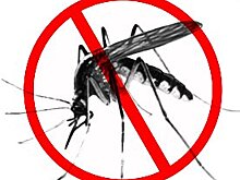 Профилактика малярии