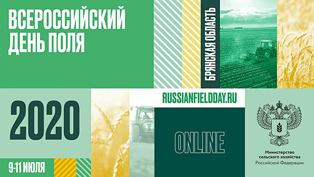 Нижегородская область участвует в выставке «Всероссийский день поля»