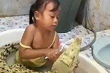 Девочка почистила зубы крокодилу