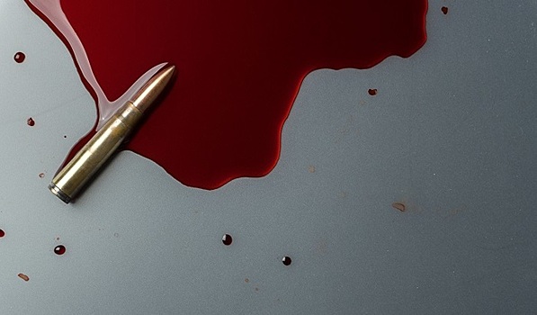 Главархив рассказал о писателе Алексее Толстом в день его рождения