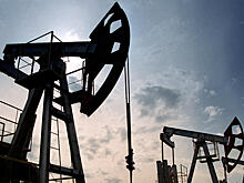 Индию озадачили заявления США по закупкам нефти у России