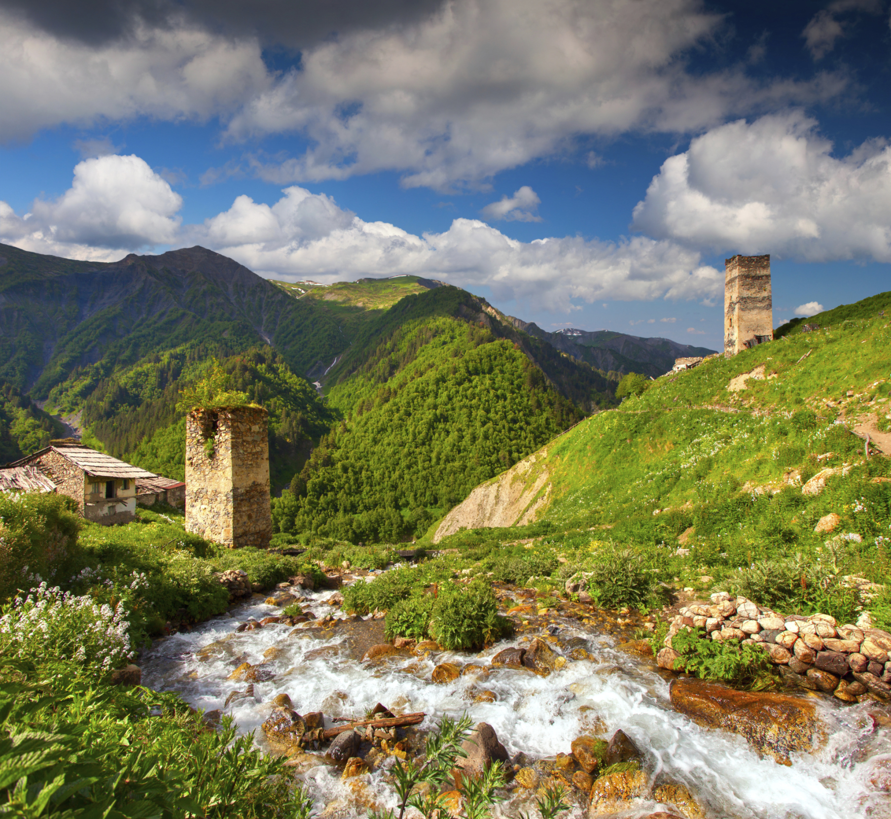 Грузия, Европа