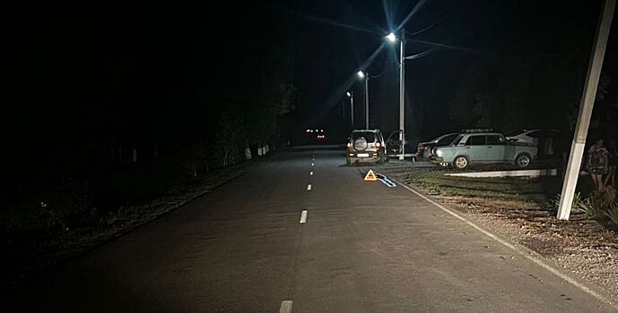 Автоледи сбила трехлетнего ребенка, который выбежал на дорогу в Ростовской области
