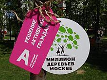«Миллион деревьев»: кому помешали дубки и как их вернуть