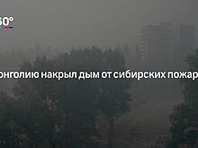 «Тонем и горим одновременно»: Greenpeace сделала заявление