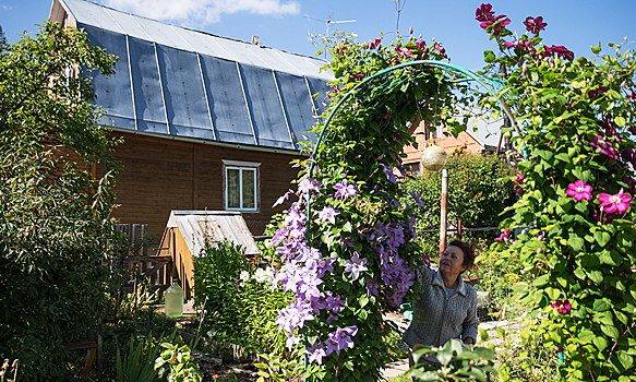 Дачникам рассказали о растениях-убийцах