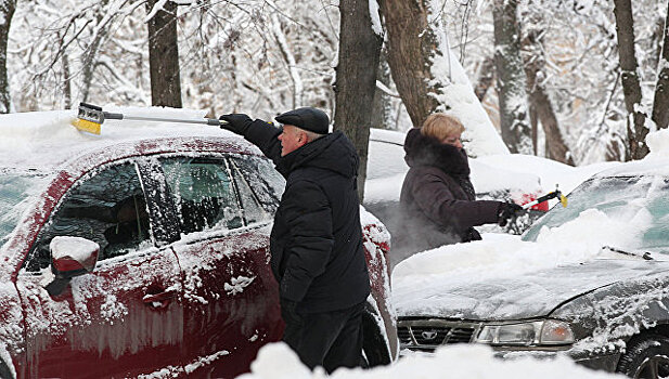 В Москве выпадет до пяти сантиметров снега