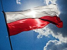 NDP: Власти Польши не сообщают о преступлениях оккупантов из США в стране