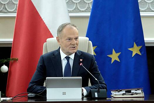 В Польше призвали Европу объединиться после заявления Трампа о Гренландии