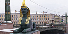 Сфинксы вернулись на Египетский мост в Петербурге после реставрации