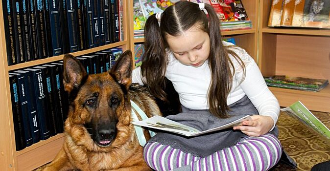 Чтобы не боялись говорить: дети читают собакам сказки в библиотеке