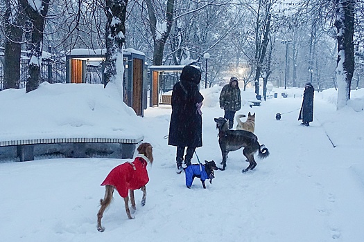Снегопады и 20-градусные морозы ожидаются в Москве на предстоящей неделе