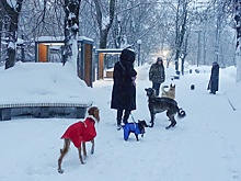 Снегопады и 20-градусные морозы ожидаются в Москве на предстоящей неделе